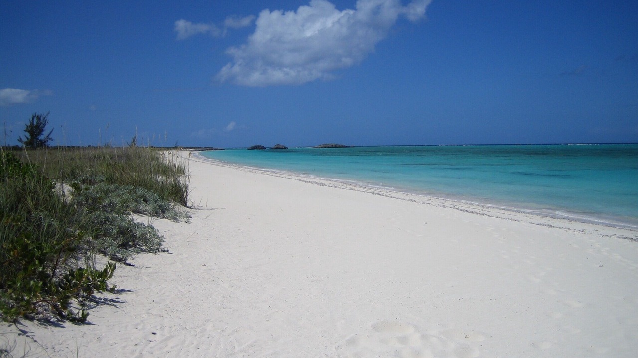 Photo of Others in Sandy Point