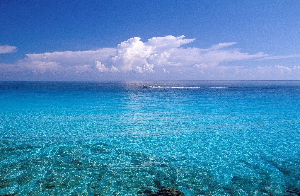 Photo of Others in Isla Mujeres