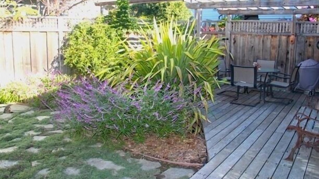 Photo of Outdoor in Opal Cliffs