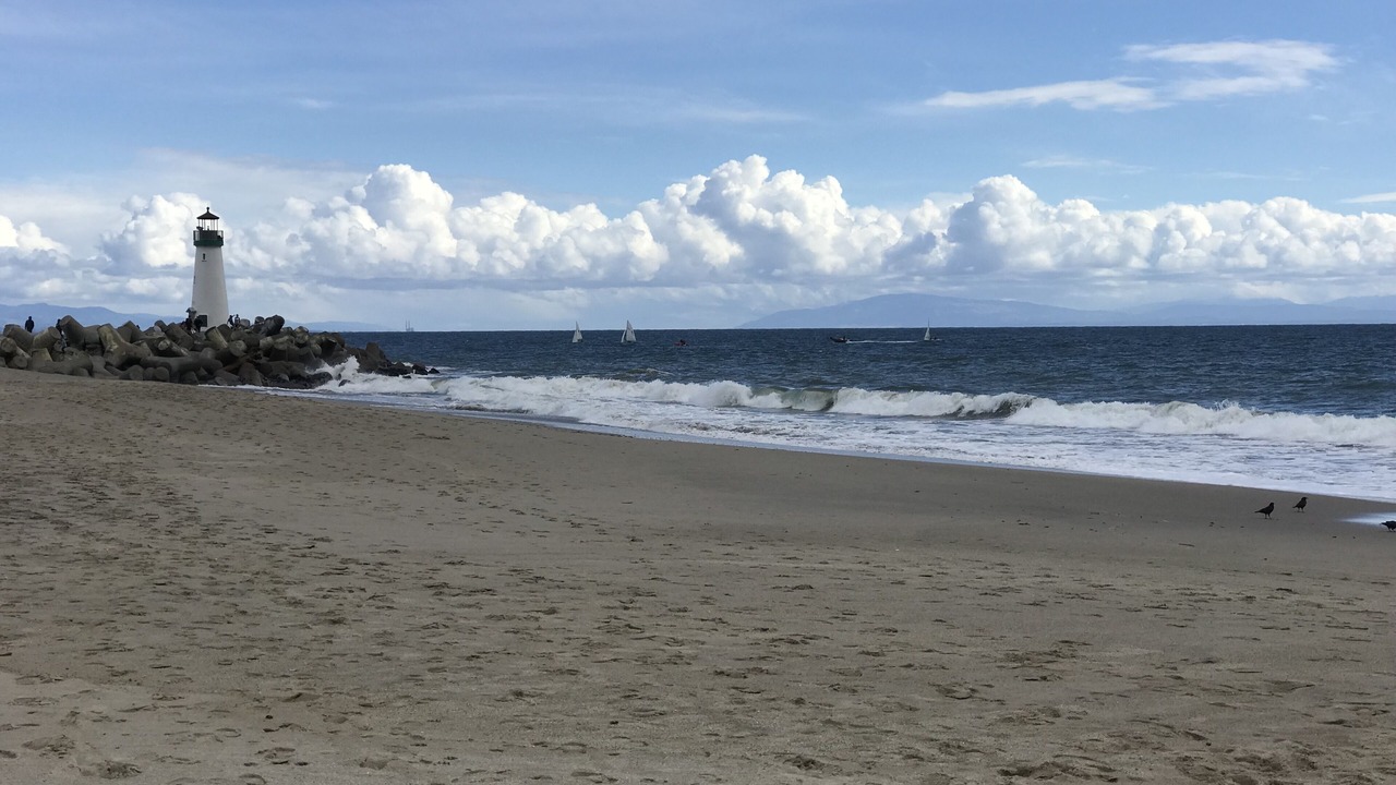 Photo of Others in Seabright