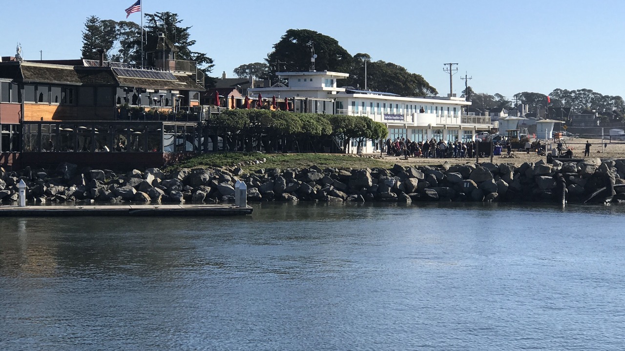 Photo of Others in Seabright