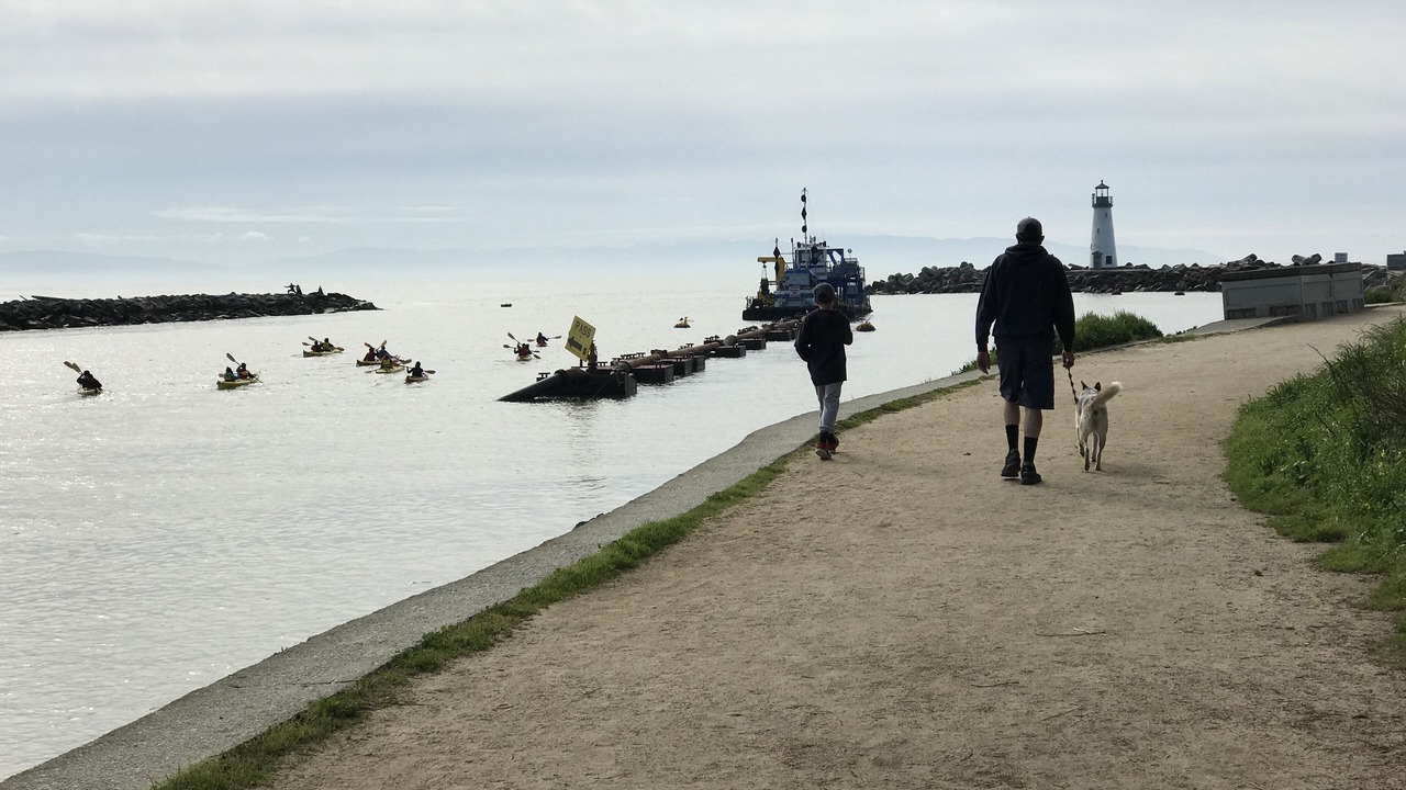 Photo of Others in Seabright