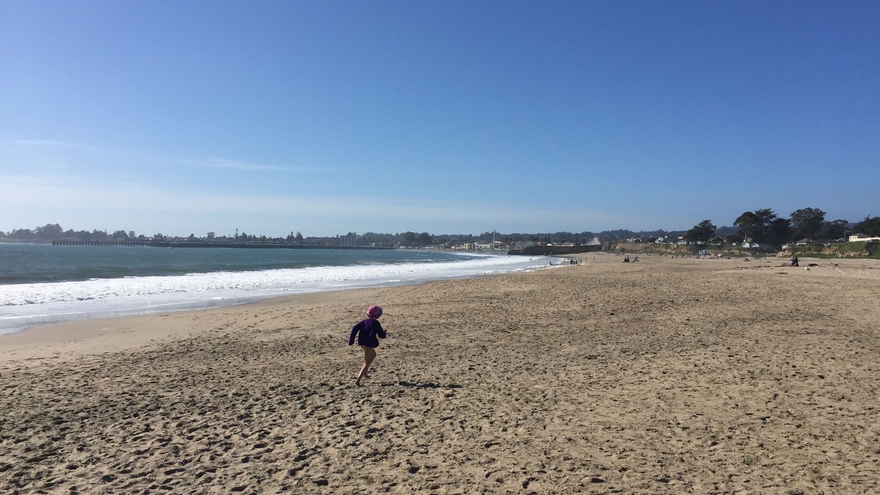 Photo of Others in Seabright
