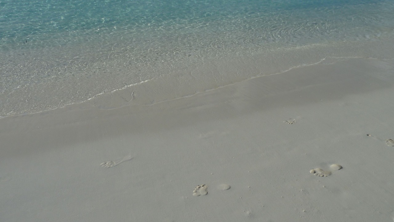 Photo of Others in Leeward Settlement