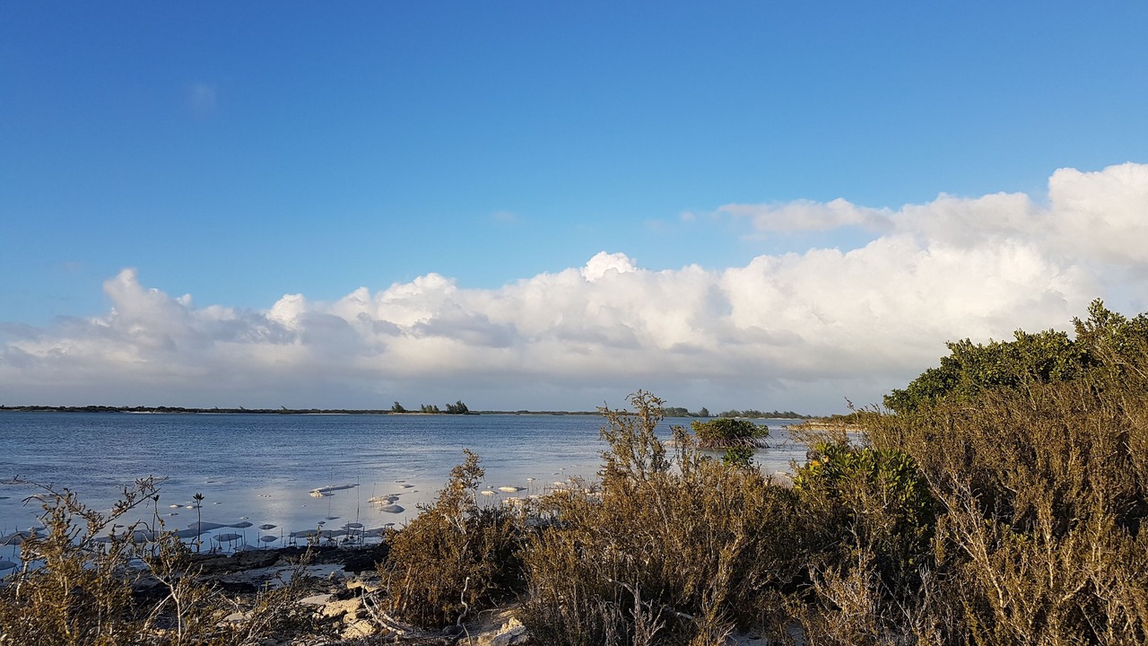 Photo of Others in Leeward Settlement