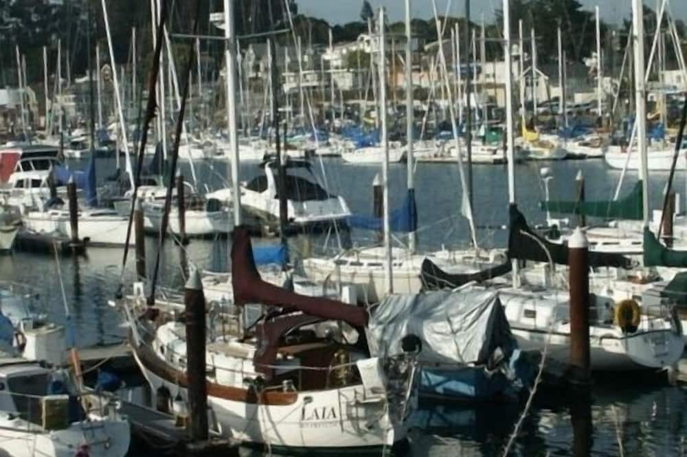 Photo of Others in Seabright