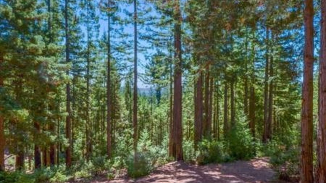 Photo of Outdoor in Santa Cruz