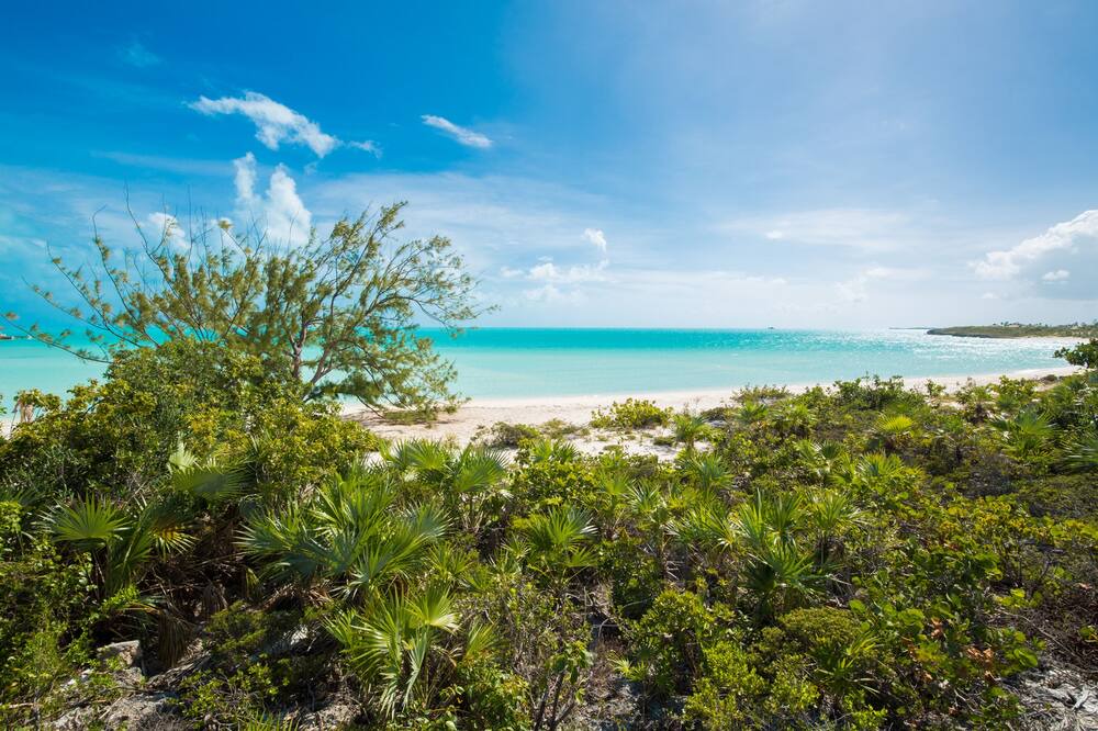 Photo of Outdoor in Ocean Point
