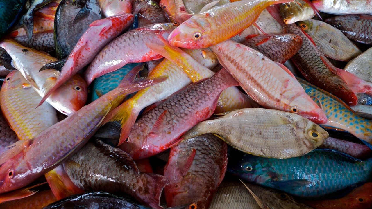 Photo of Others in Mahe Island
