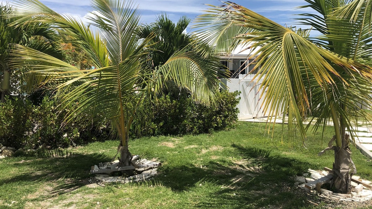 Photo of Outdoor in Wheeland Settlement