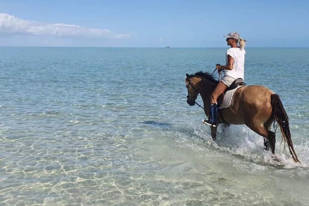Photo of Others in Long Bay