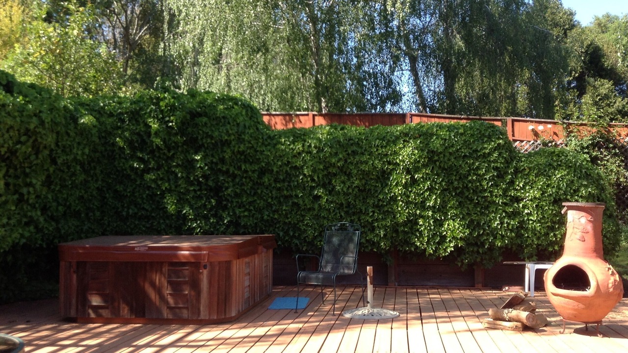Photo of Outdoor in Felton