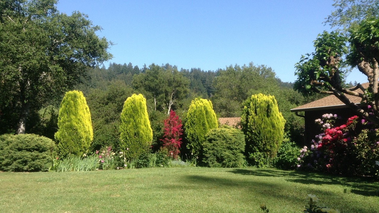 Photo of Others in Felton