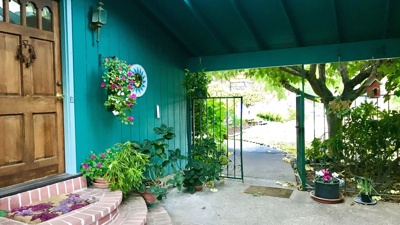 Photo of Outdoor in Felton