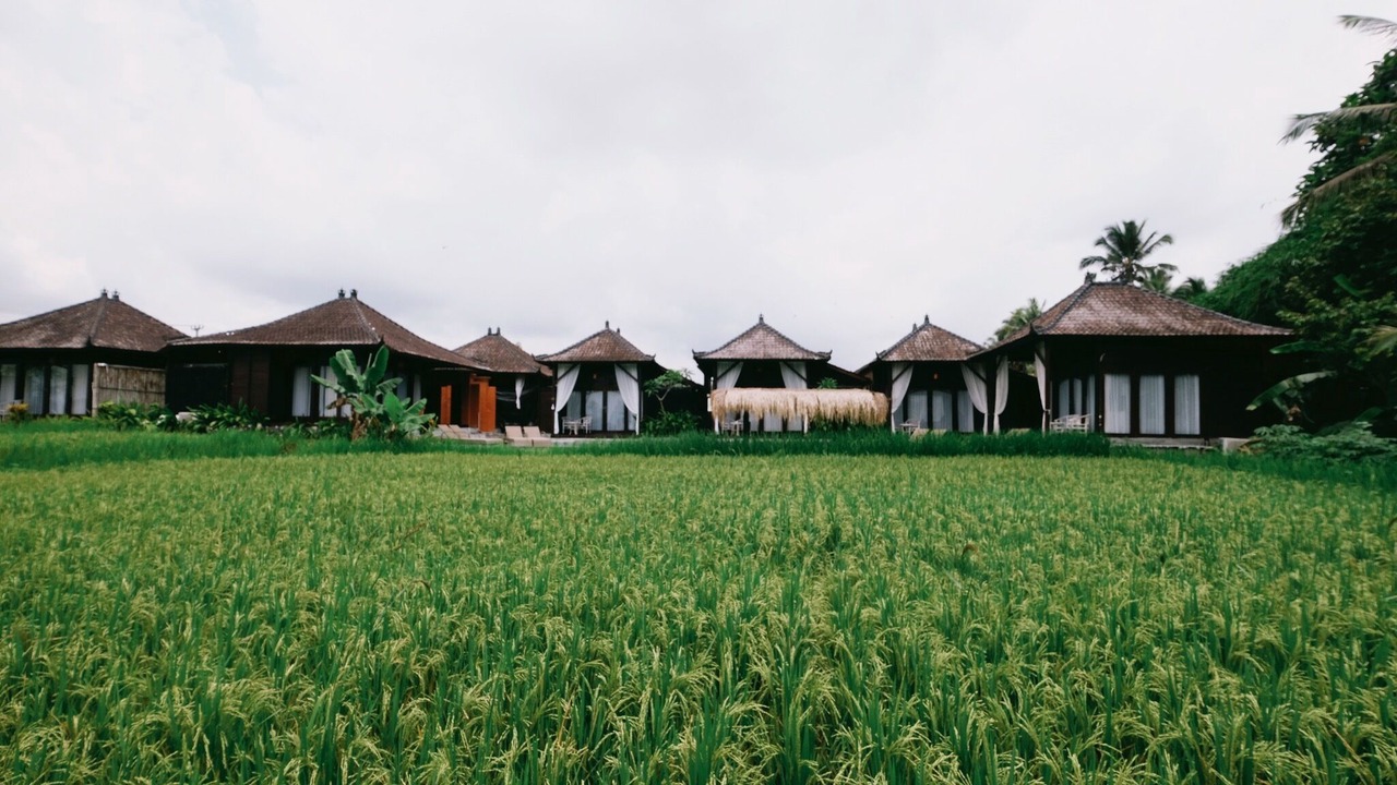 Photo of Outdoor in Kenderan