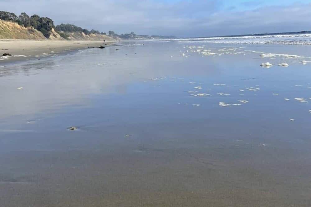 Photo of Others in Rio del Mar