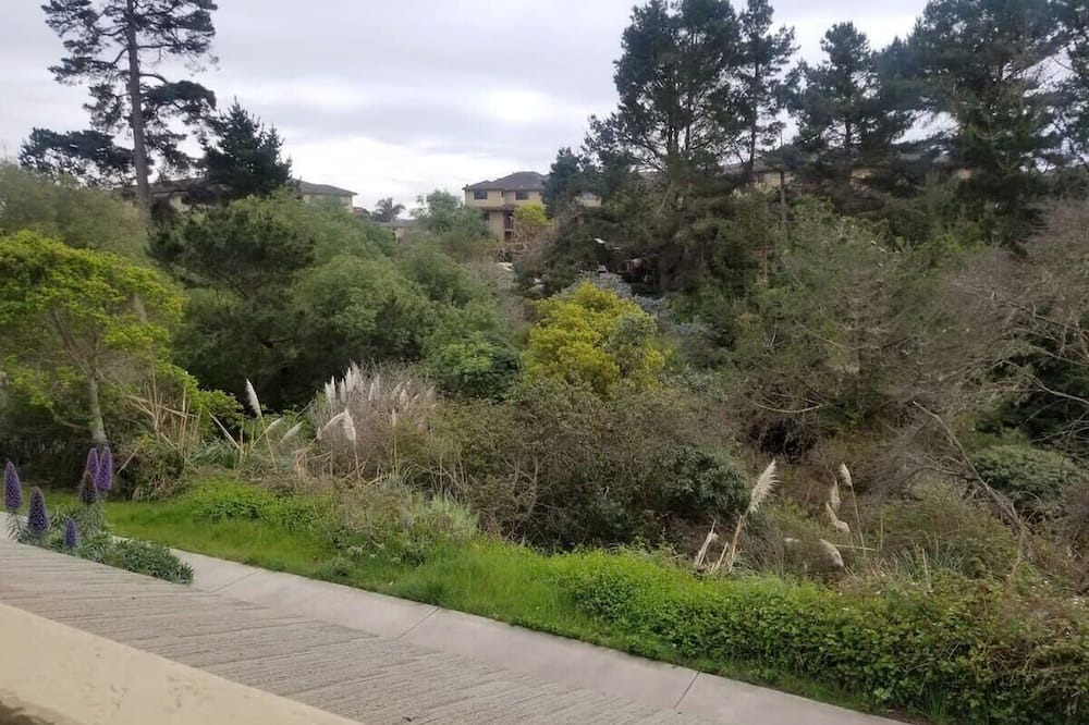 Photo of Others in Rio del Mar