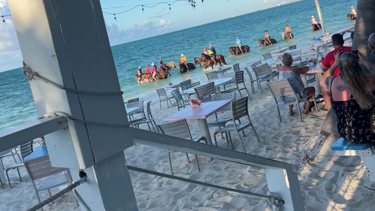 Photo of Others in Providenciales