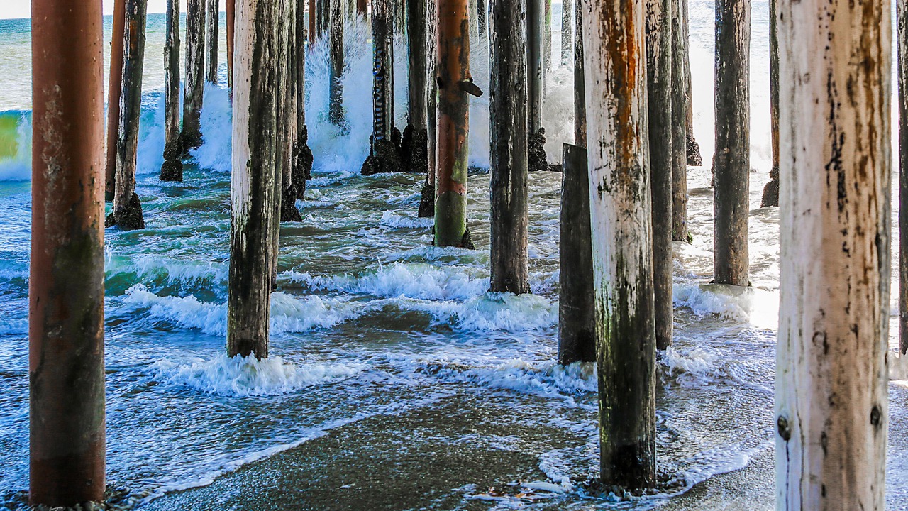 Photo of Others in Aptos