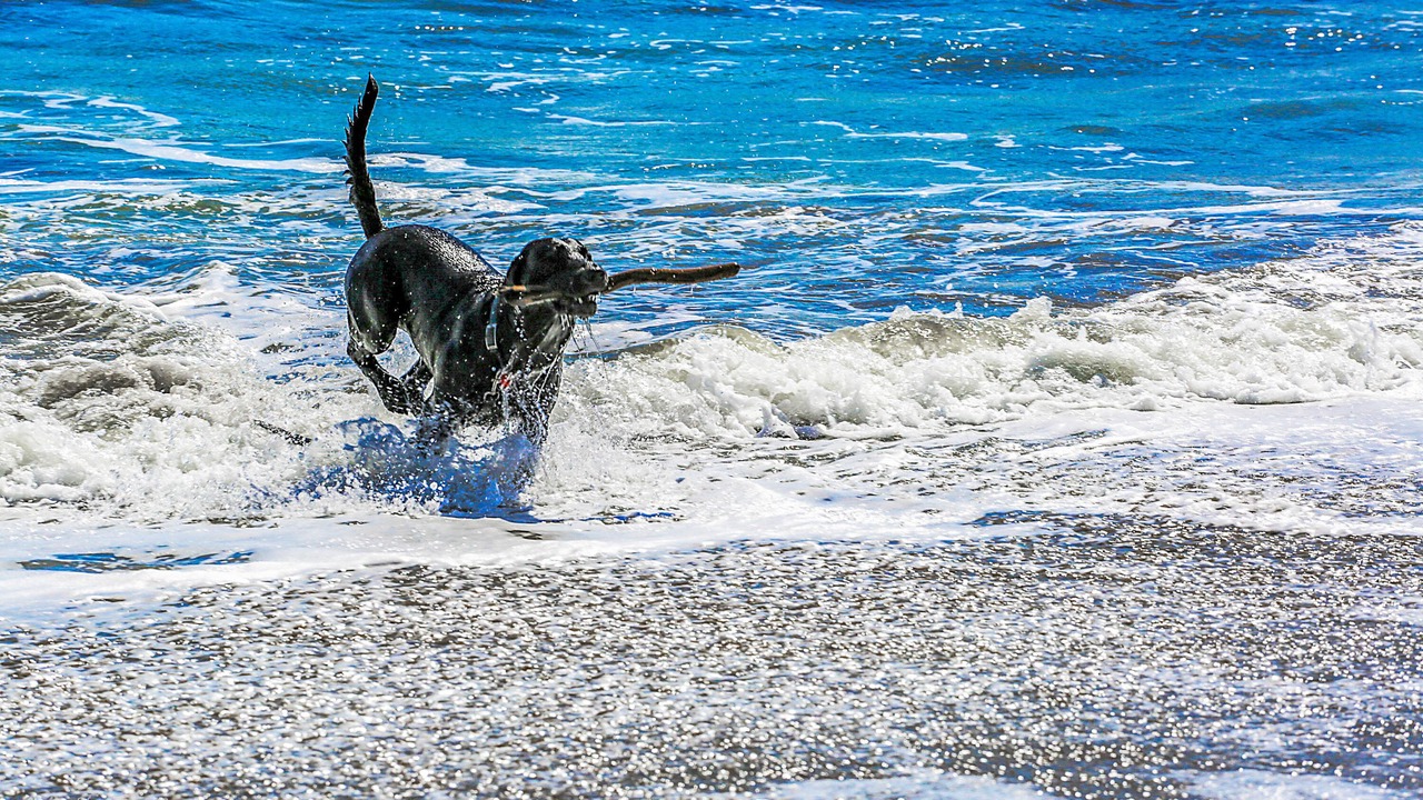 Photo of Others in Aptos