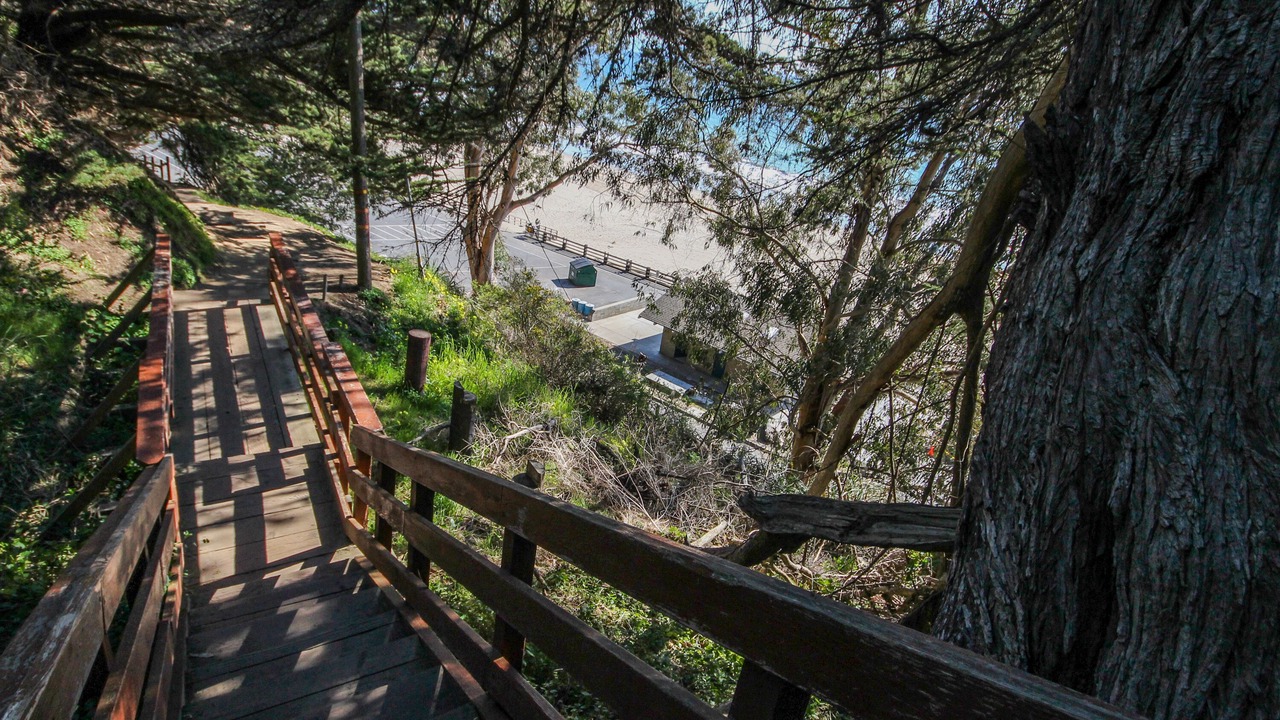 Photo of Outdoor in Aptos