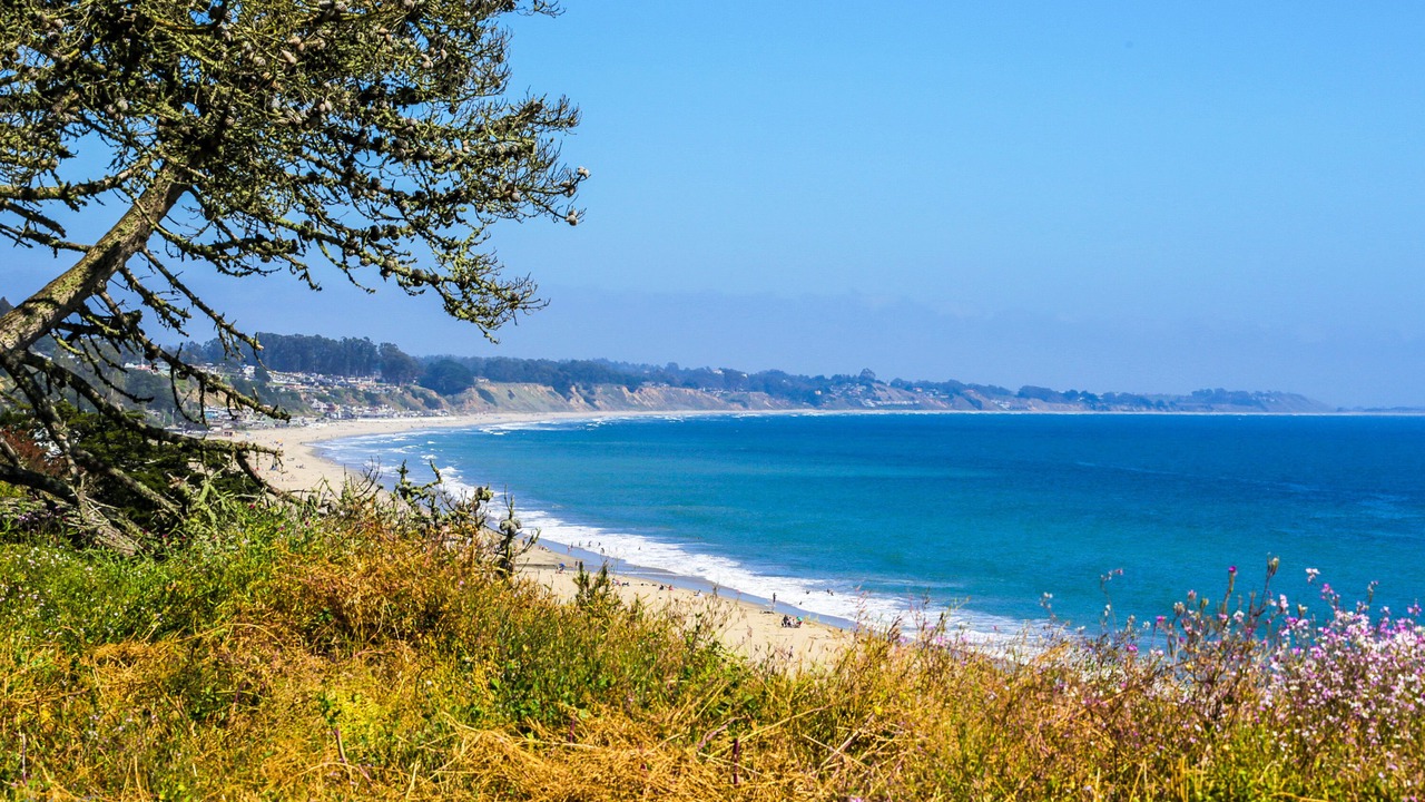 Photo of Others in Aptos