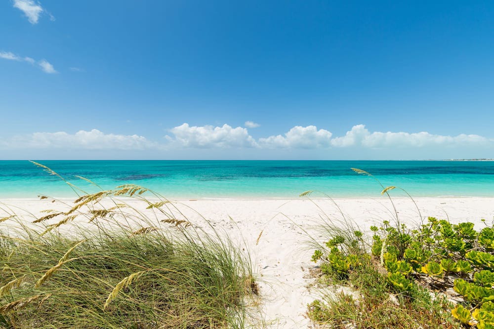Photo of Others in Grace Bay