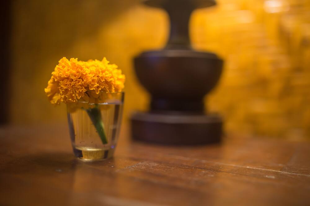 Photo of Others in Ubud