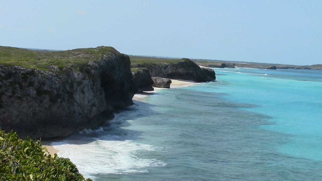 Photo of Others in Conch Bar