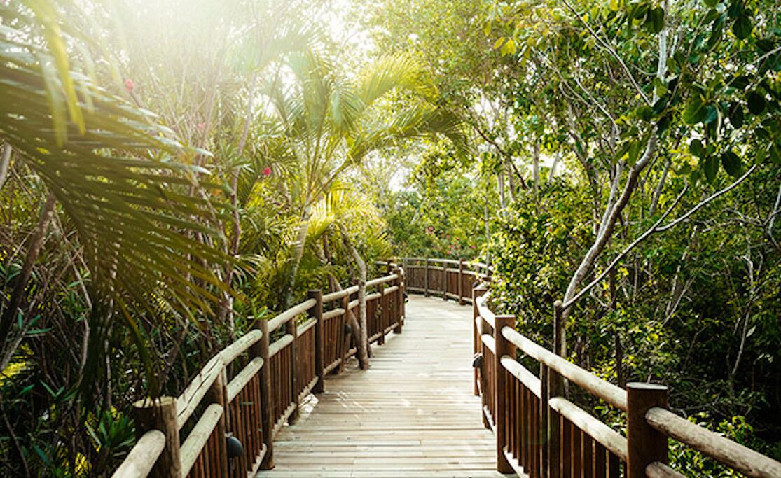 Photo of Outdoor in Villa Juarez