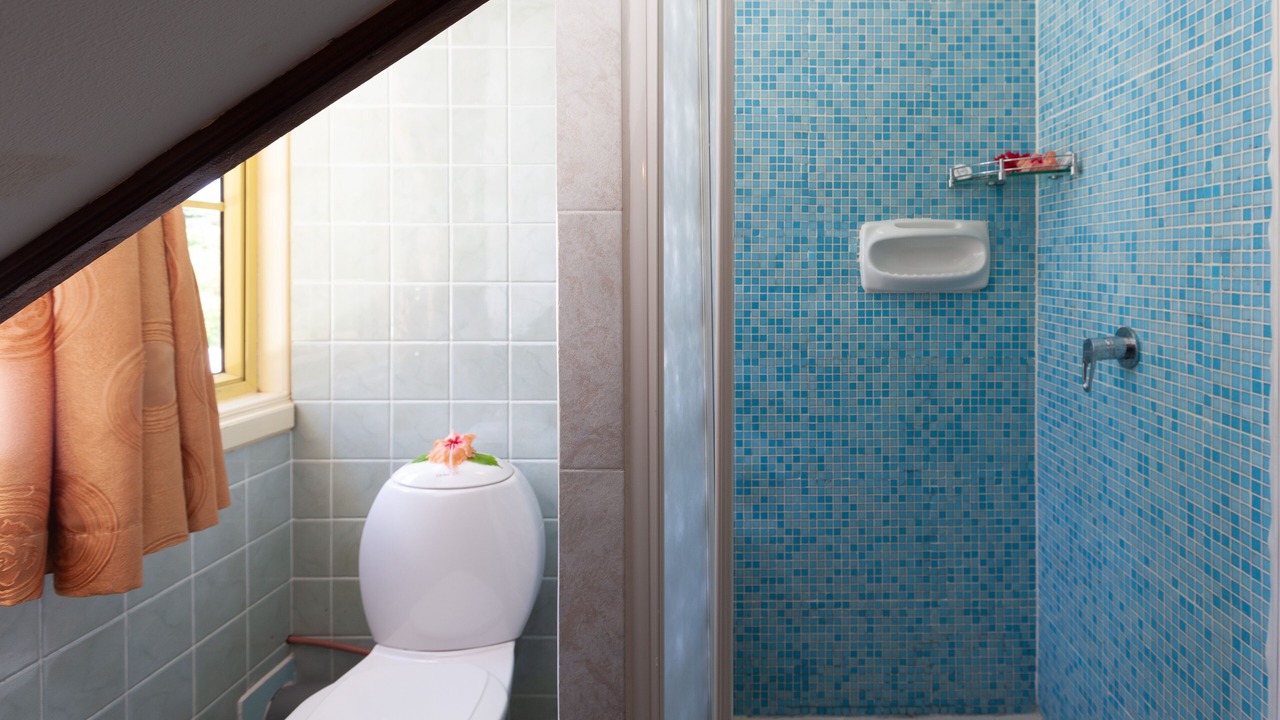 Photo of Bathroom in La Passe