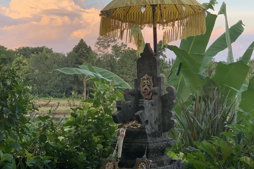 Photo of Others in Ubud City-Centre