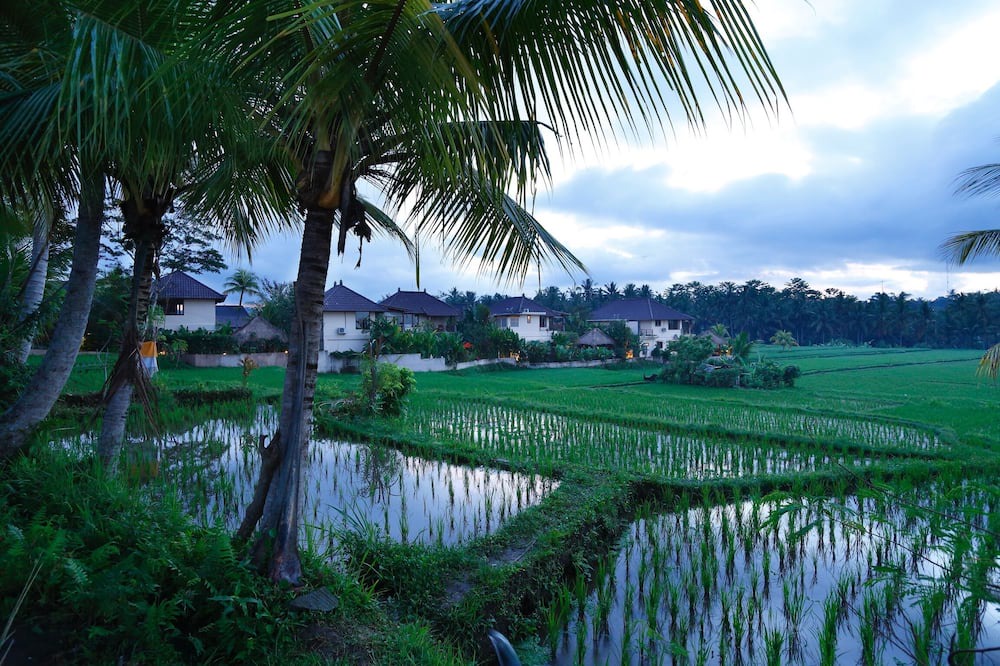 Photo of Others in Ubud City-Centre