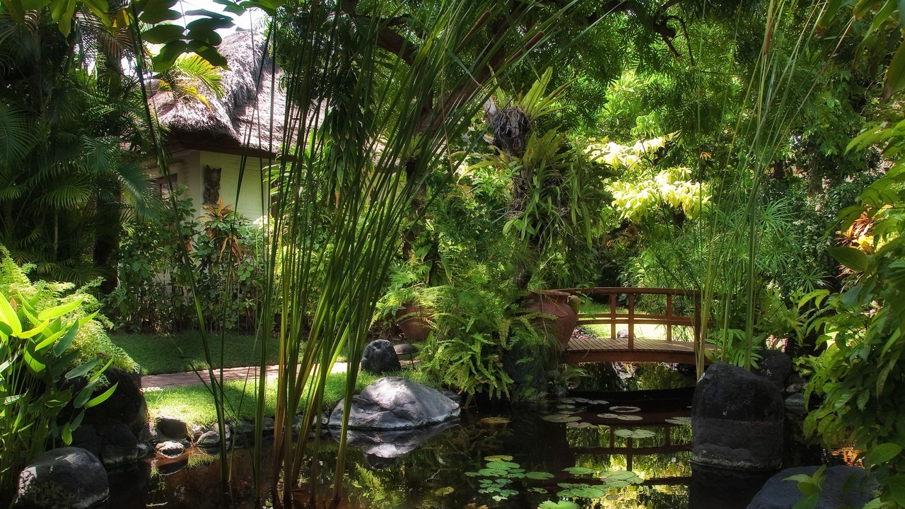 Photo of Outdoor in Downtown Kuta
