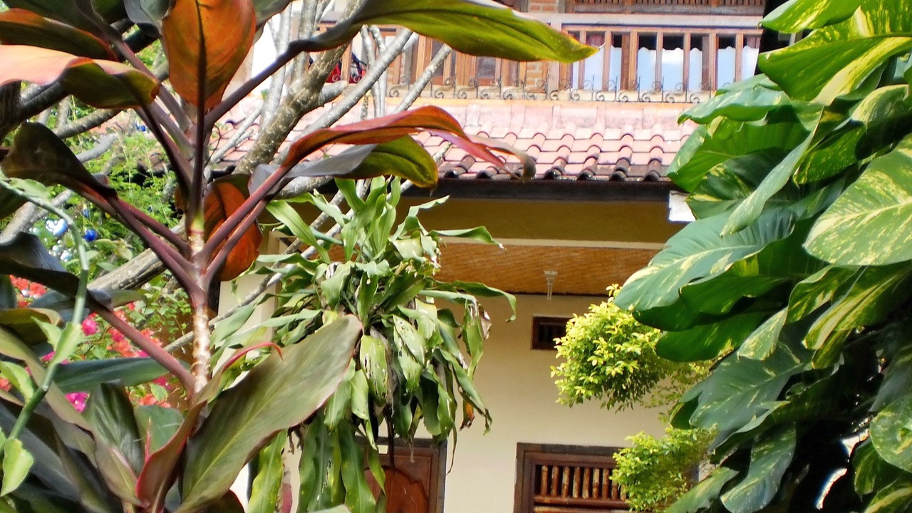 Photo of Patio Balcony in Ubud City-Centre