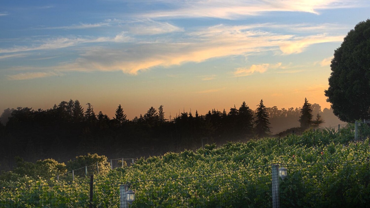Photo of Outdoor in Aptos