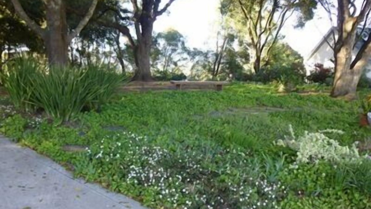 Photo of Outdoor in Aptos