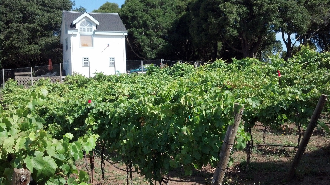 Photo of Outdoor in Aptos