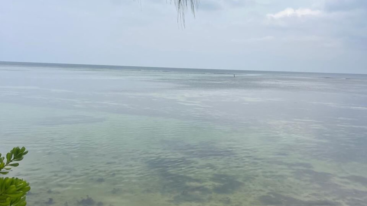 Photo of Others in Anse aux Pins