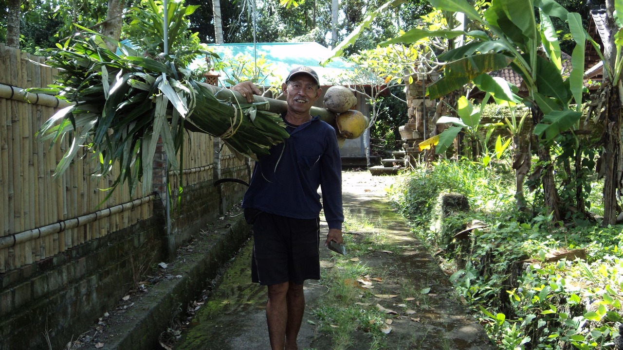 Photo of Outdoor in Cepaka