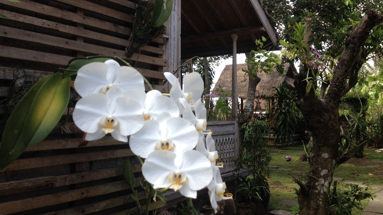 Photo of Others in Cepaka