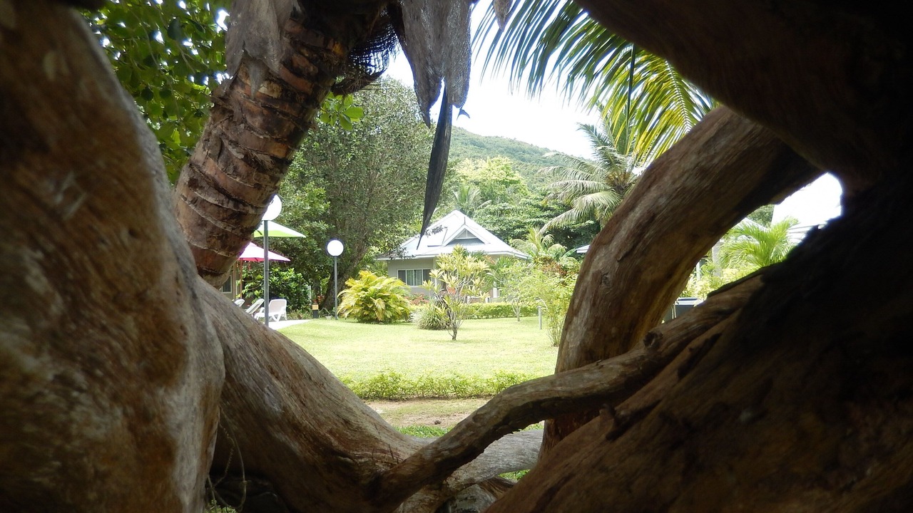 Photo of Outdoor in Praslin Island