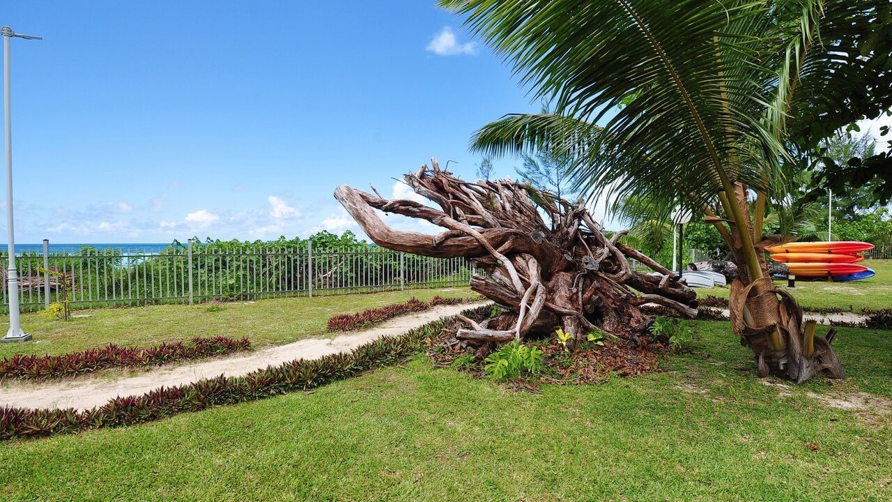 Photo of Outdoor in Praslin Island