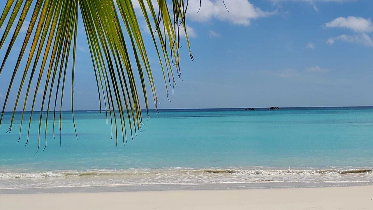 Photo of Others in Praslin Island
