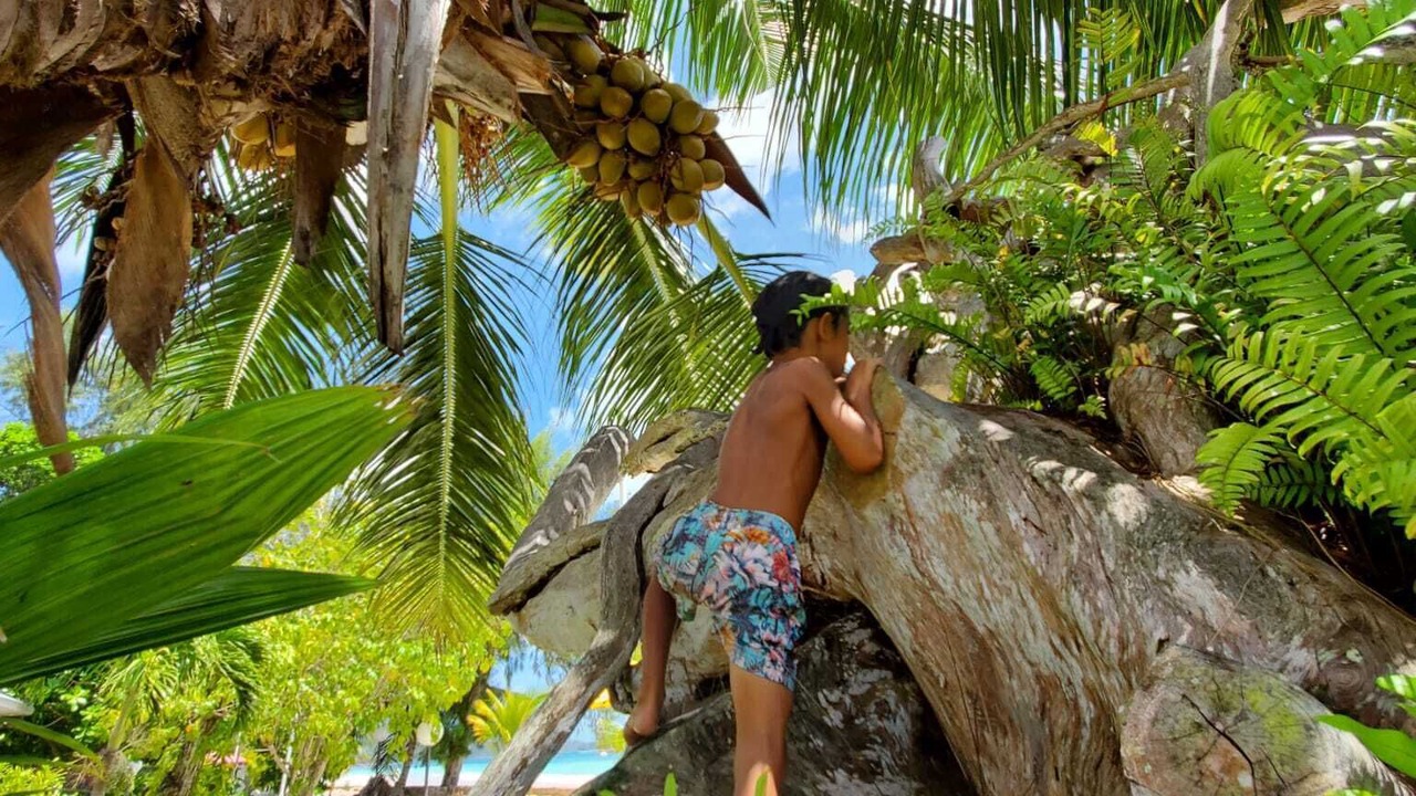 Photo of Outdoor in Praslin Island