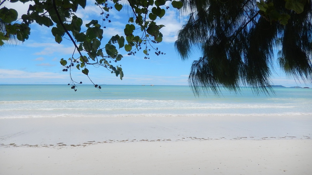 Photo of Others in Praslin Island