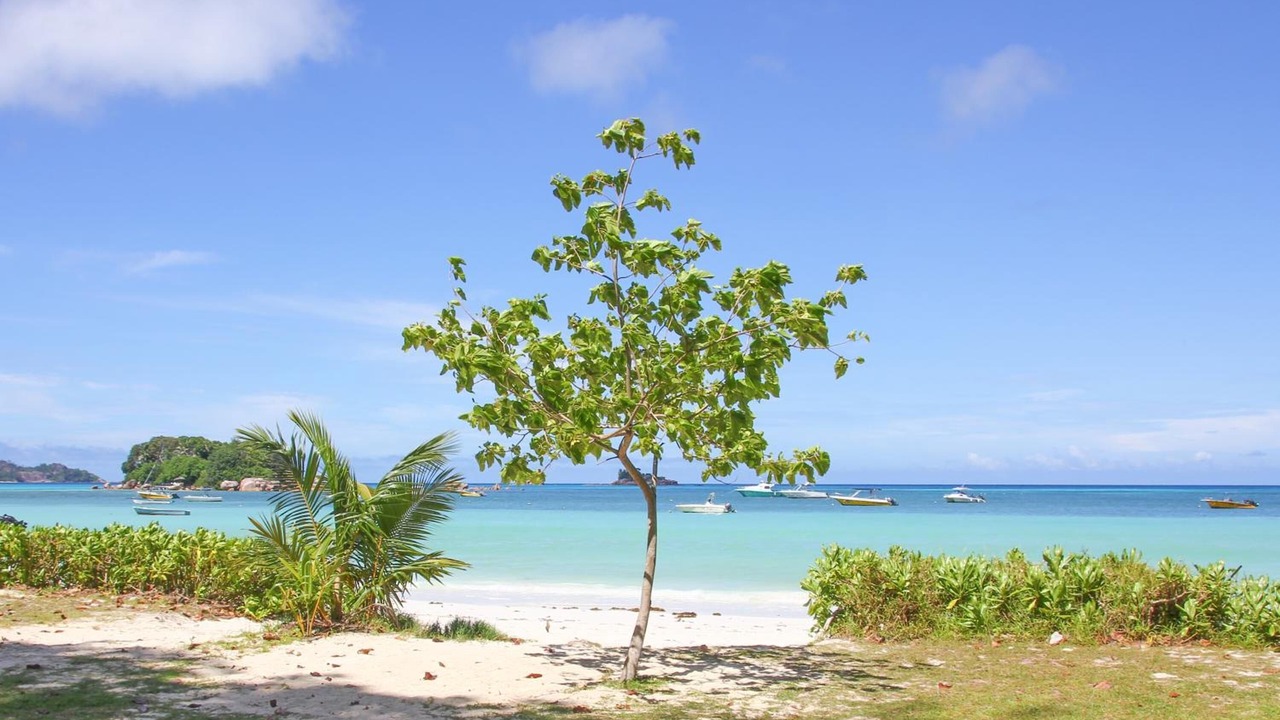 Photo of Others in Praslin Island