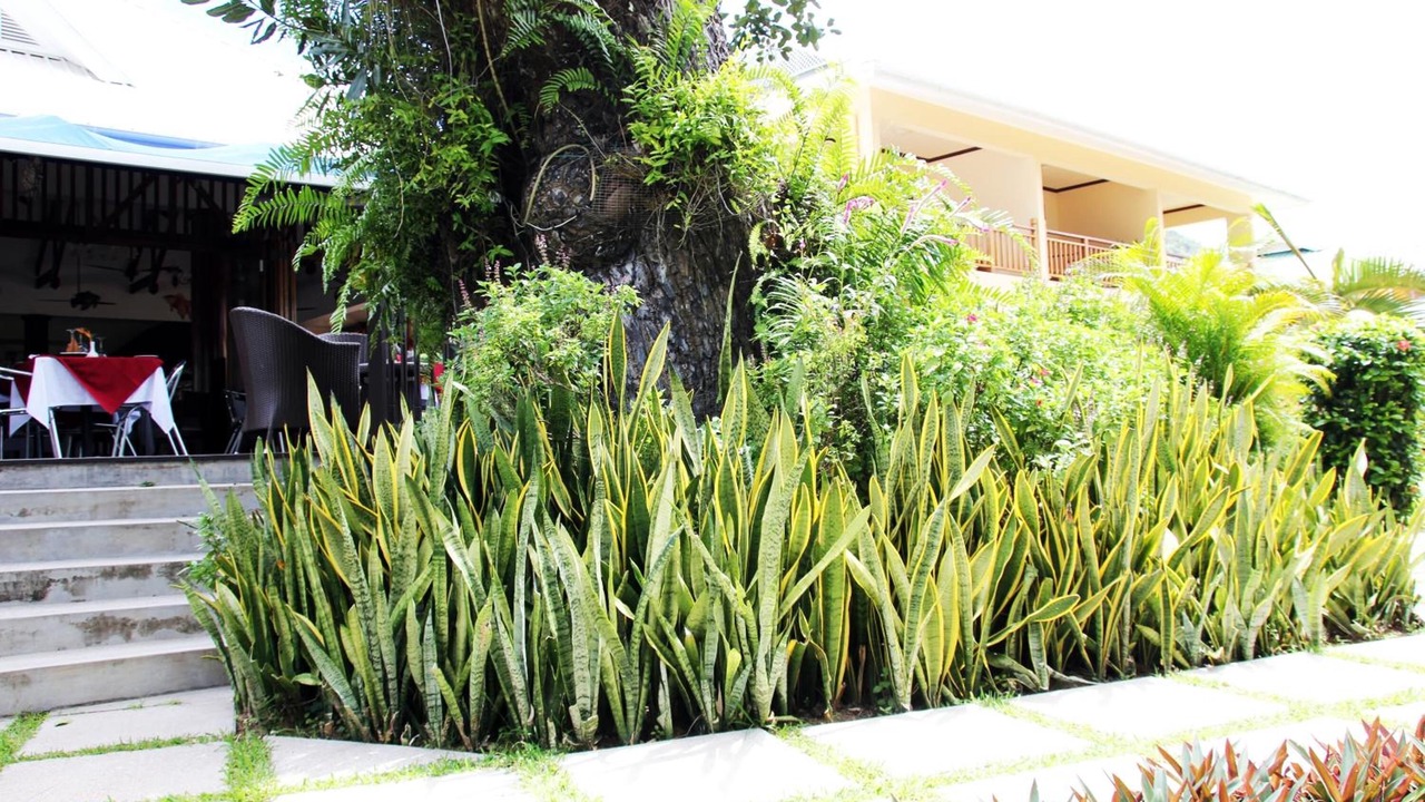 Photo of Outdoor in Praslin Island
