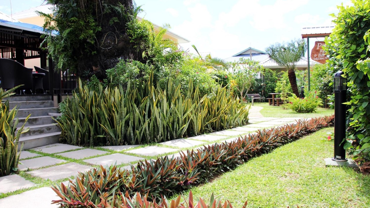 Photo of Outdoor in Praslin Island