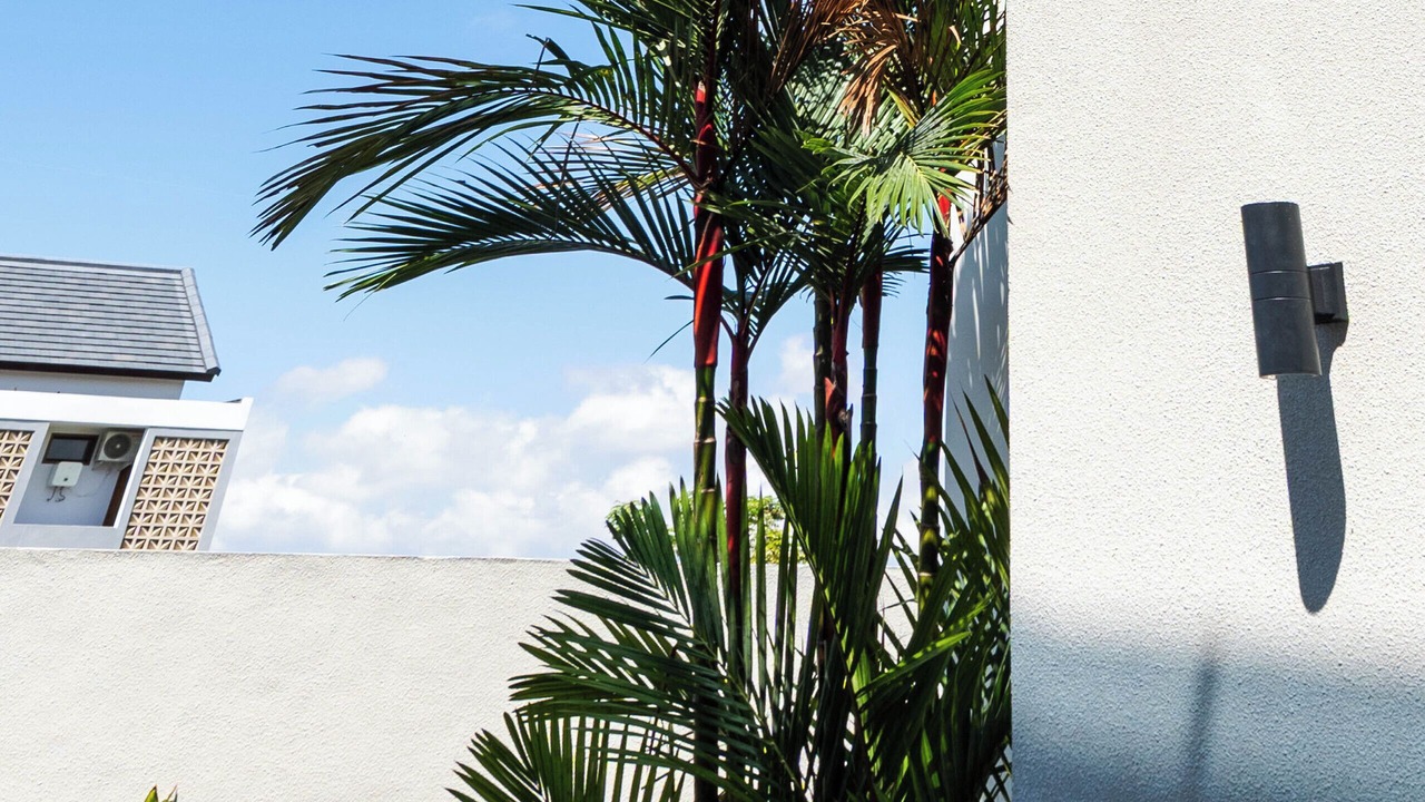 Photo of Outdoor in Penatih